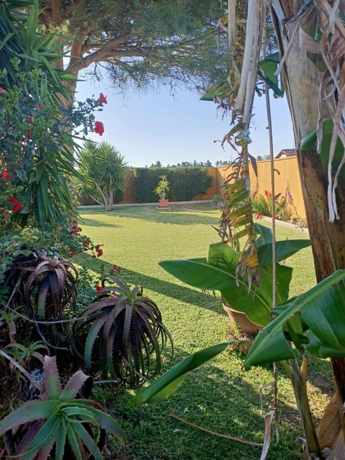 Casa Manoli Villa El Palmar  Eksteriør billede